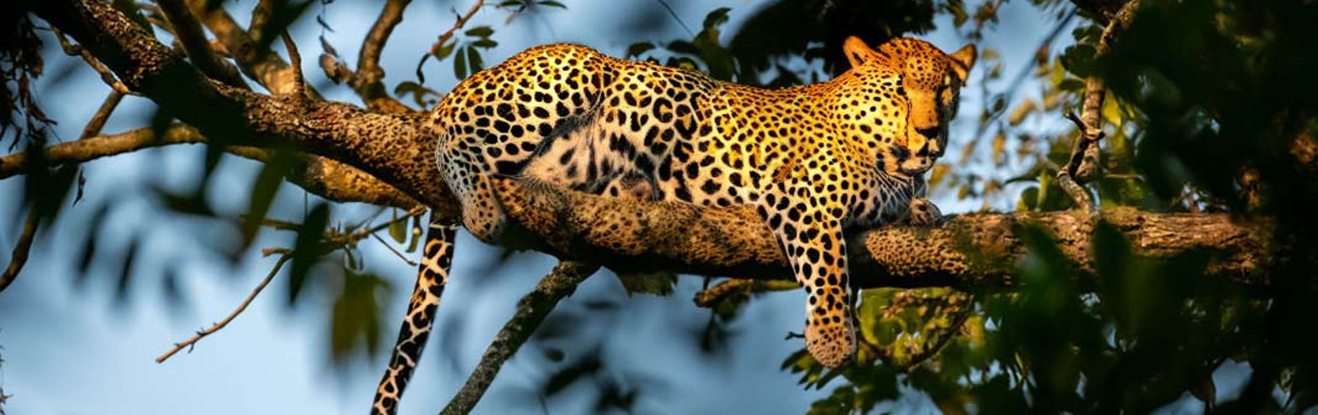 Contact Us For Booking