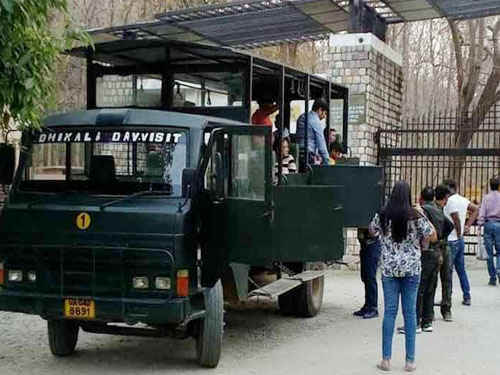 dhikala canter safari